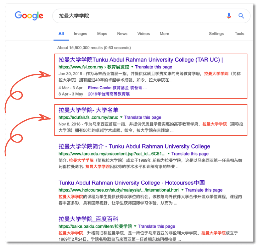 SEO Success Story